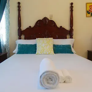 Apartment Heart-of-the-city With The Amenities Of, Kingston