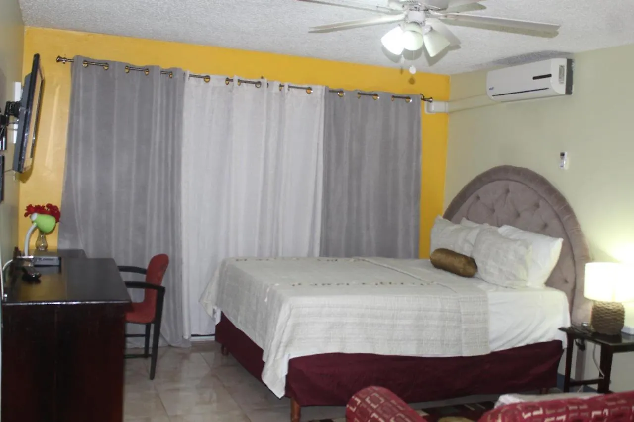 Comfy, Central & Elegant Studio New Kingston 0*,  Jamaica