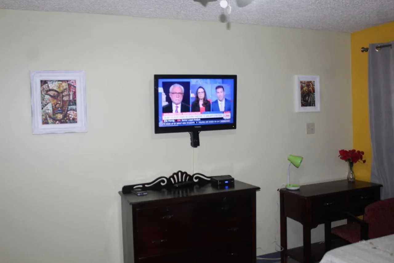 Comfy, Central & Elegant Studio New Kingston Apartment