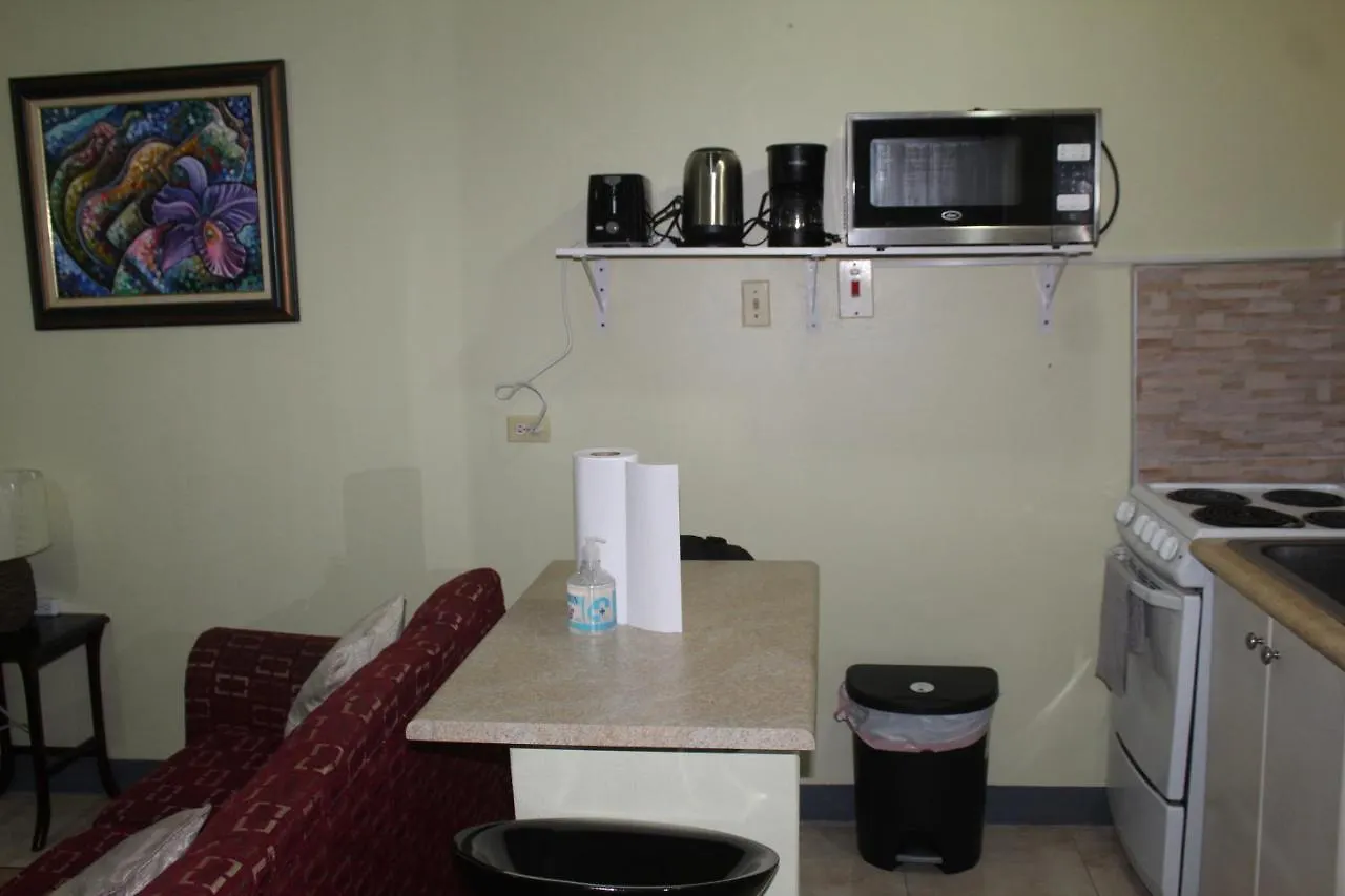 Apartment Comfy, Central & Elegant Studio New Kingston Jamaica