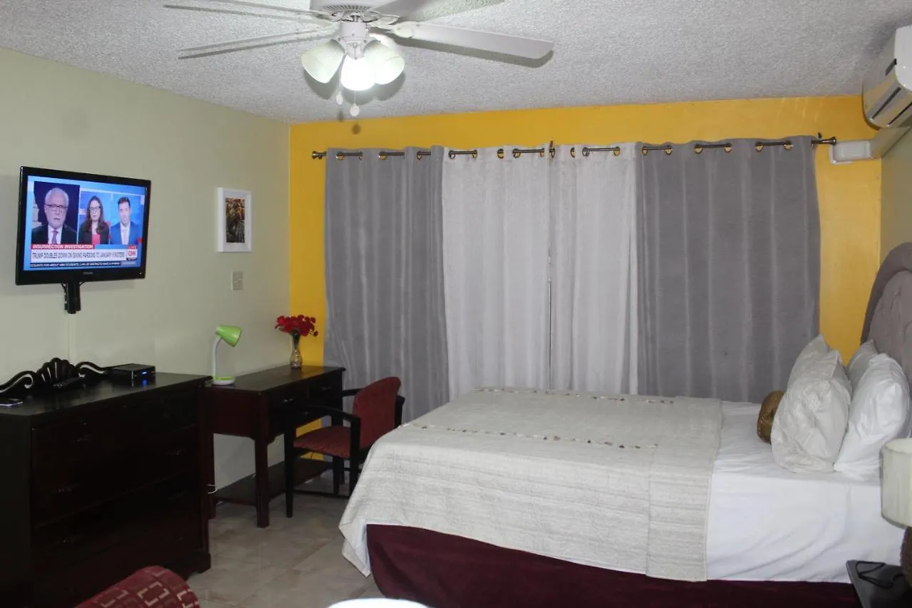 Apartment Comfy, Central & Elegant Studio New Kingston Jamaica