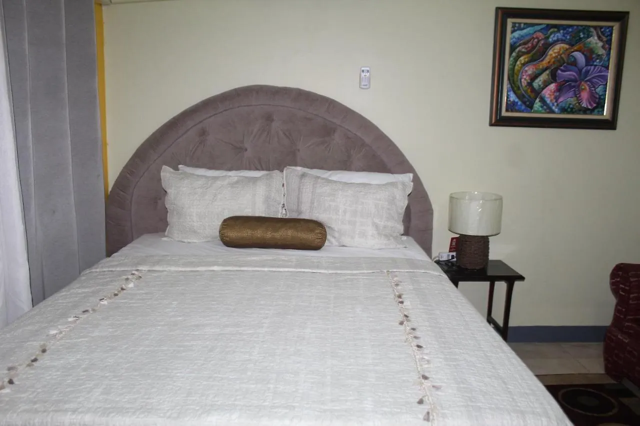 Comfy, Central & Elegant Studio New Kingston