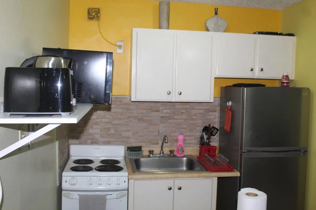 Apartment Comfy, Central & Elegant Studio New Kingston